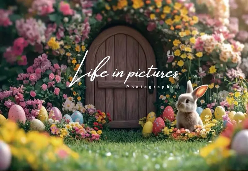 Logo Life in Pictures Photography.